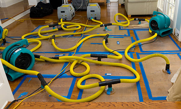 Professional Crawl Space Water Removal technician working in Frankenmuth, MI